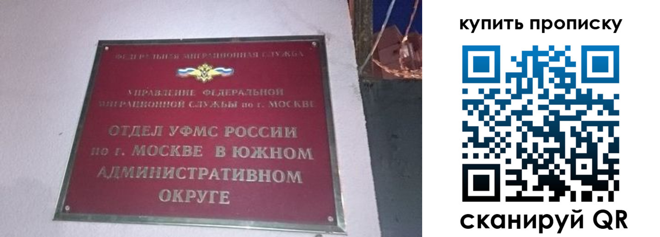 прописка 2025 в Калининграде